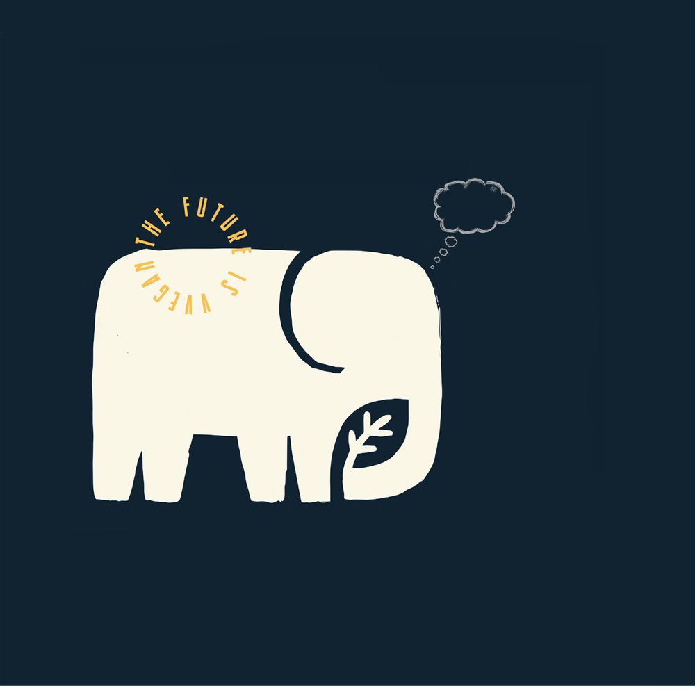 שאלות נפוצות