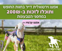 חלב אלפרו + מקציף
