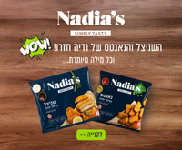 באנר לפסח
