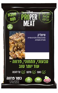 שישליק - מחוברים לחיים