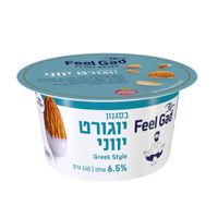 יוגורט בסגנון יווני Feel Gad